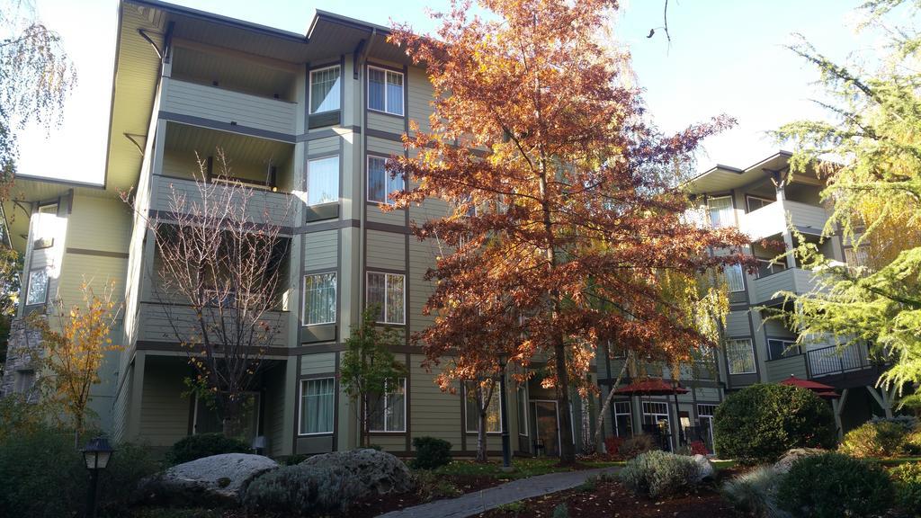 Plaza Inn & Suites At Ashland Creek Dış mekan fotoğraf
